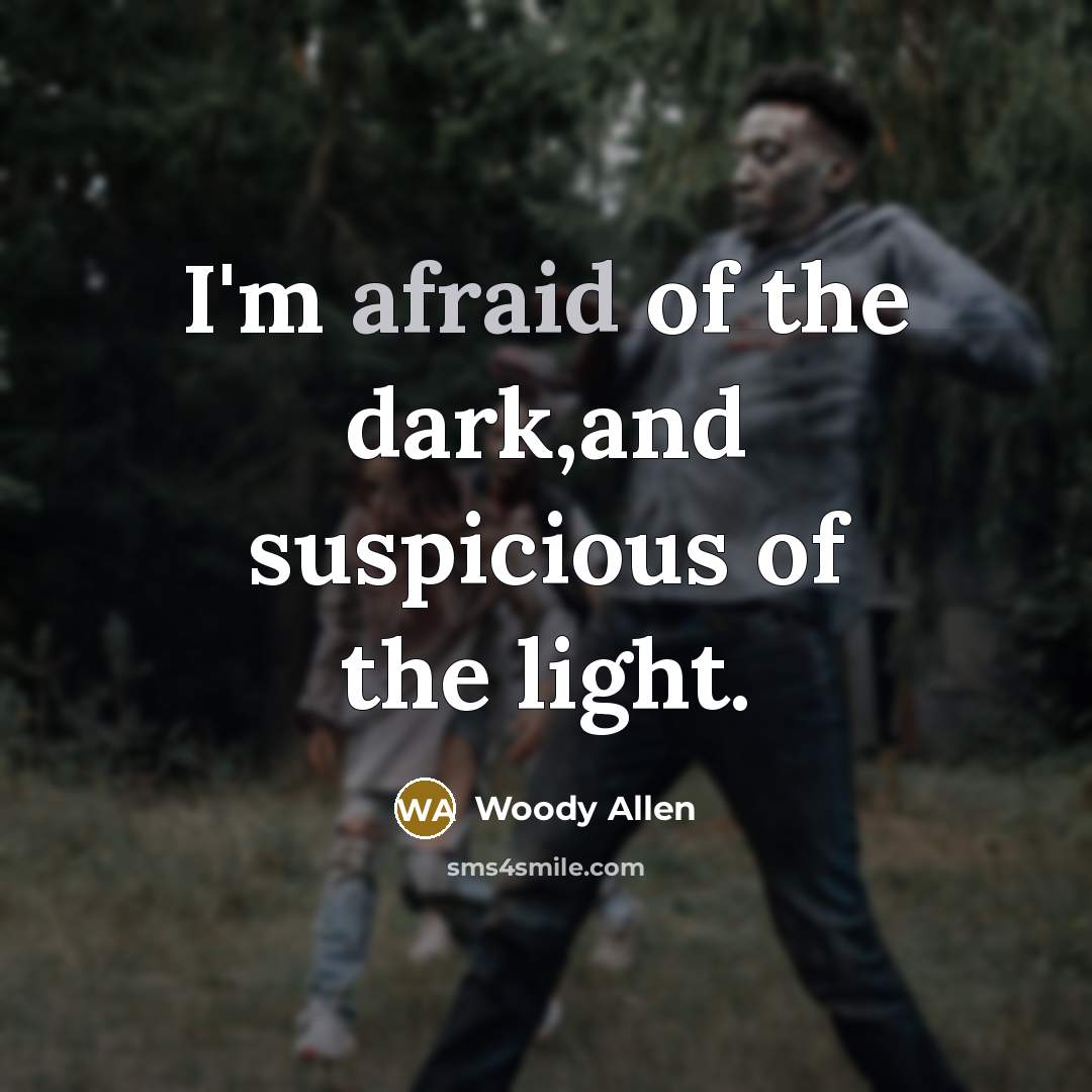 “I'm afraid of the dark,and suspicious of the light.…” quote by Woody Allen