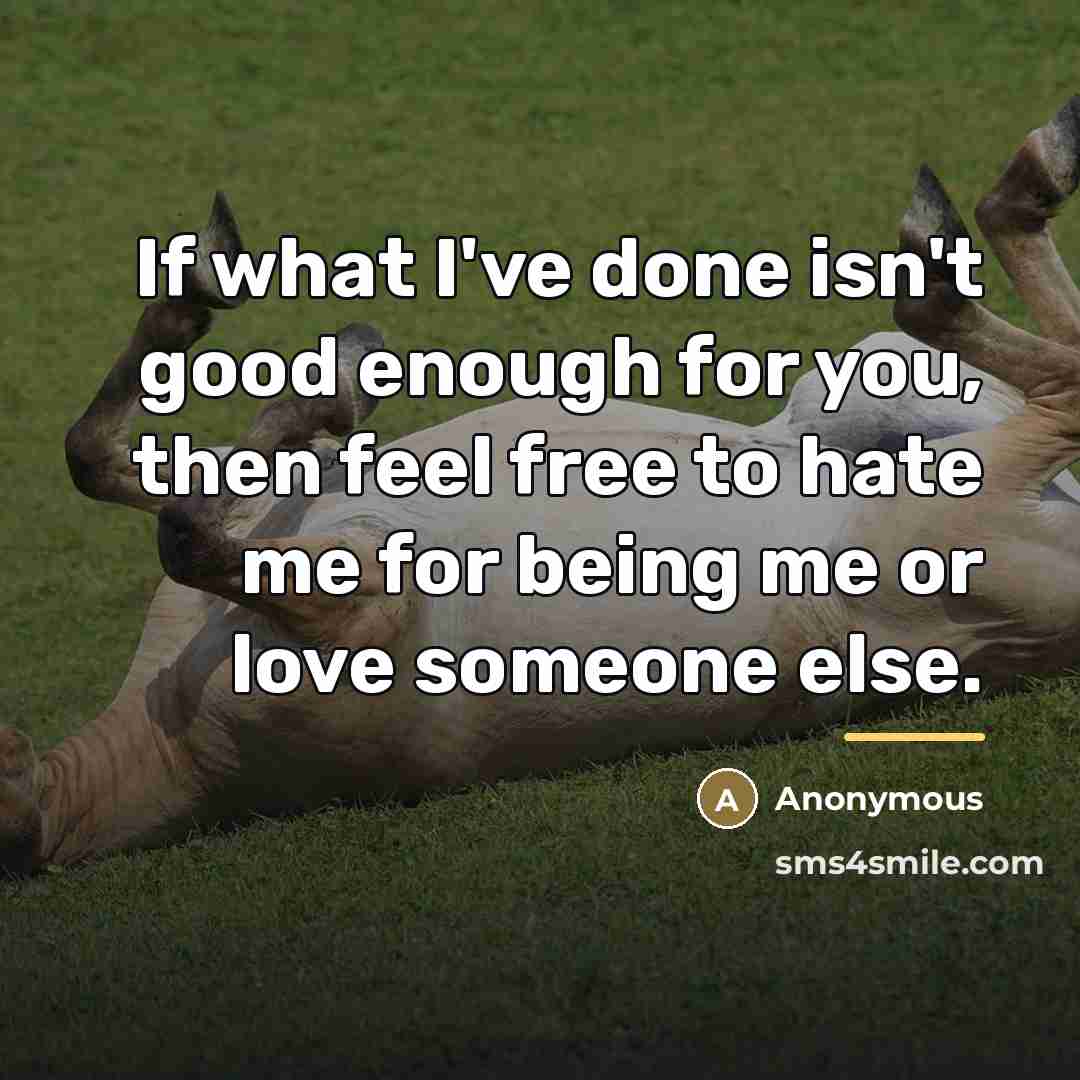 “If what I've done isn't good enough for you, then…” quote by Anonymous