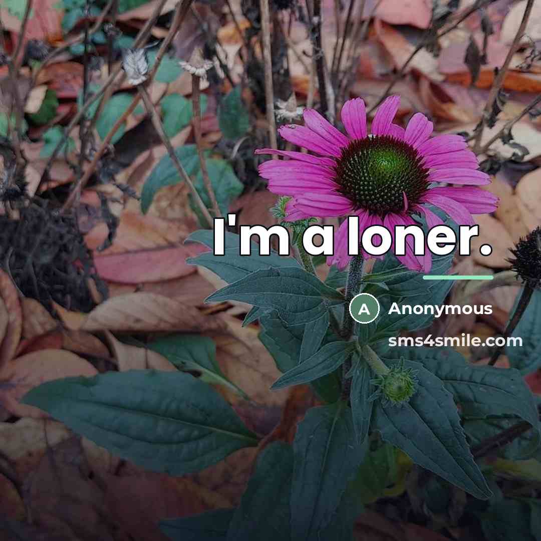 “I'm a loner.…” quote by Anonymous