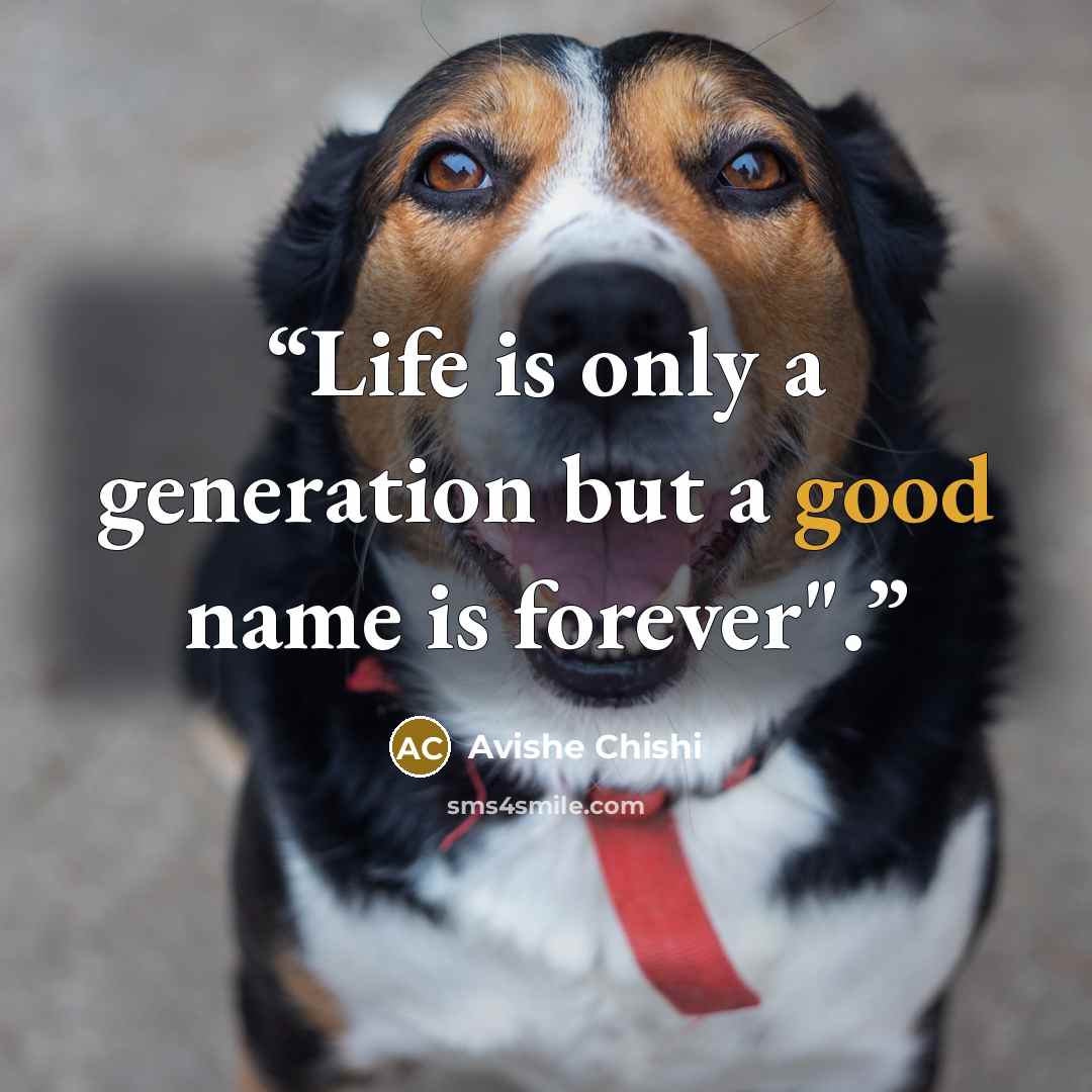 “Life is only a generation but a good name is forever".” quote by Avishe Chishi