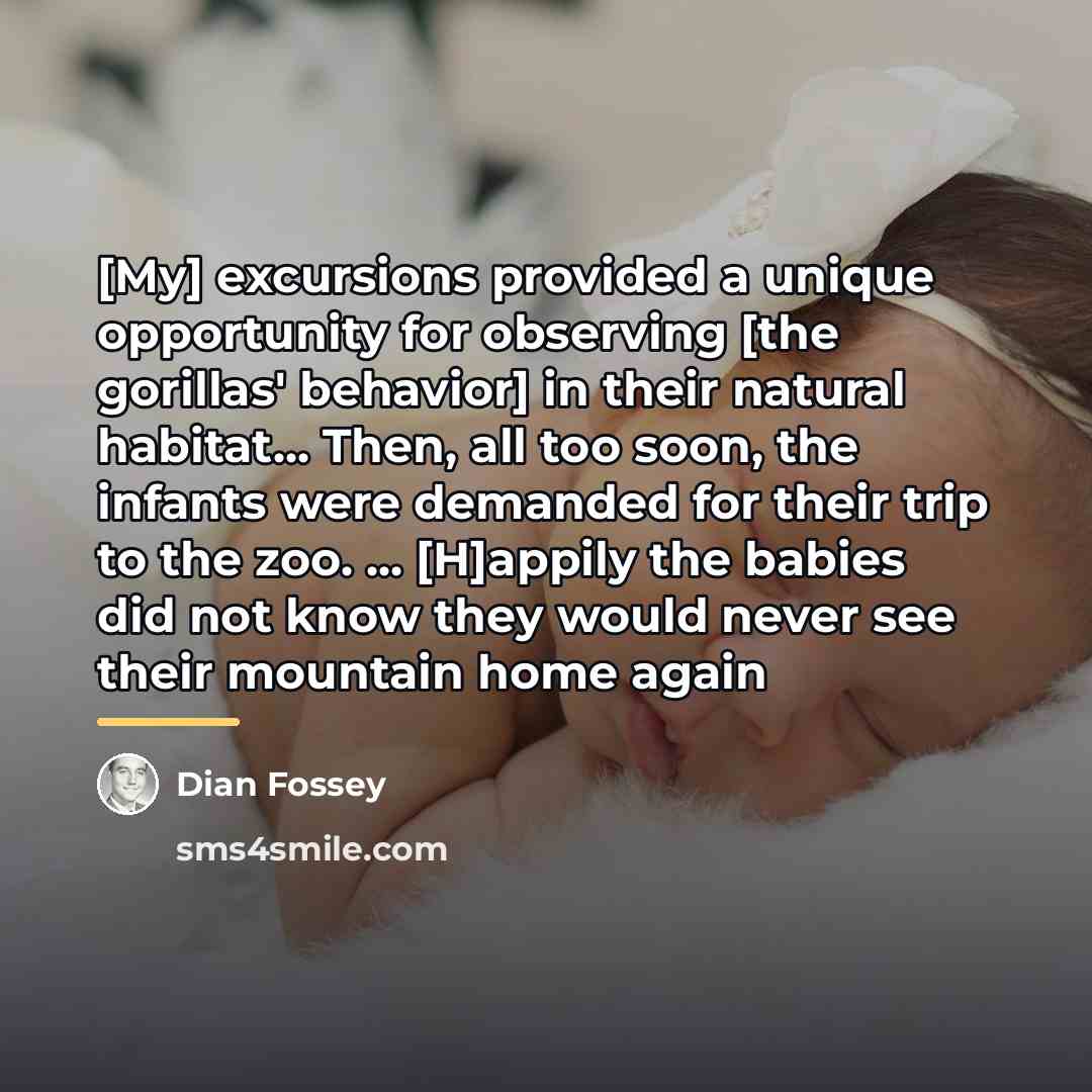 “[My] excursions provided a unique opportunity for observing [the gorillas'…” quote by Dian Fossey