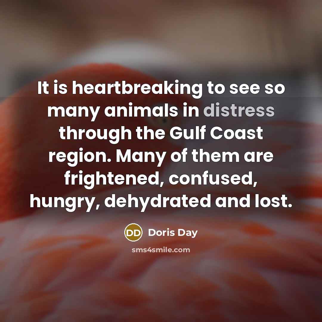 “It is heartbreaking to see so many animals in distress…” quote by Doris Day