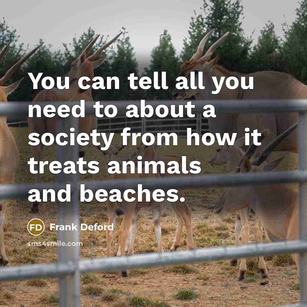 “You can tell all you need to about a society from how it treats animals and beaches.” quote by Frank Deford