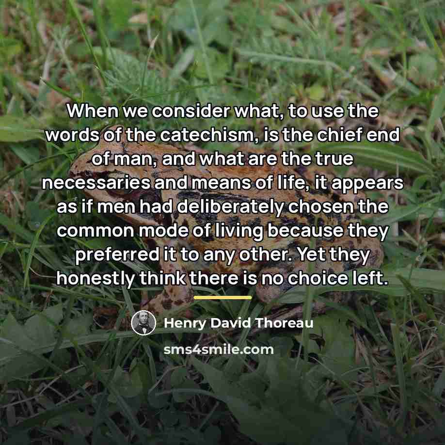 “When we consider what, to use the words of the…” quote by Henry David Thoreau