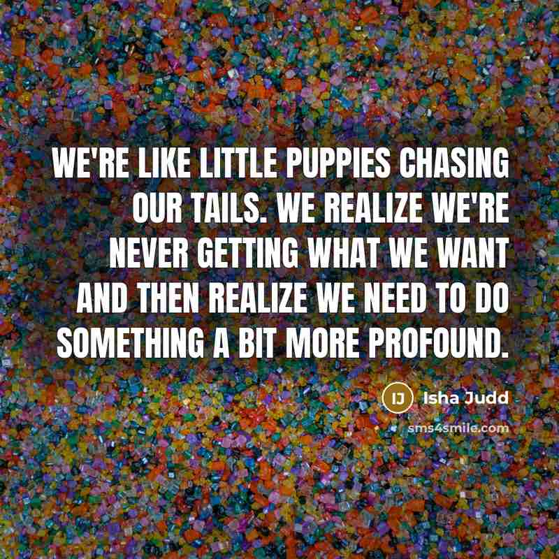 “We're like little puppies chasing our tails. We realize we're…” quote by Isha Judd