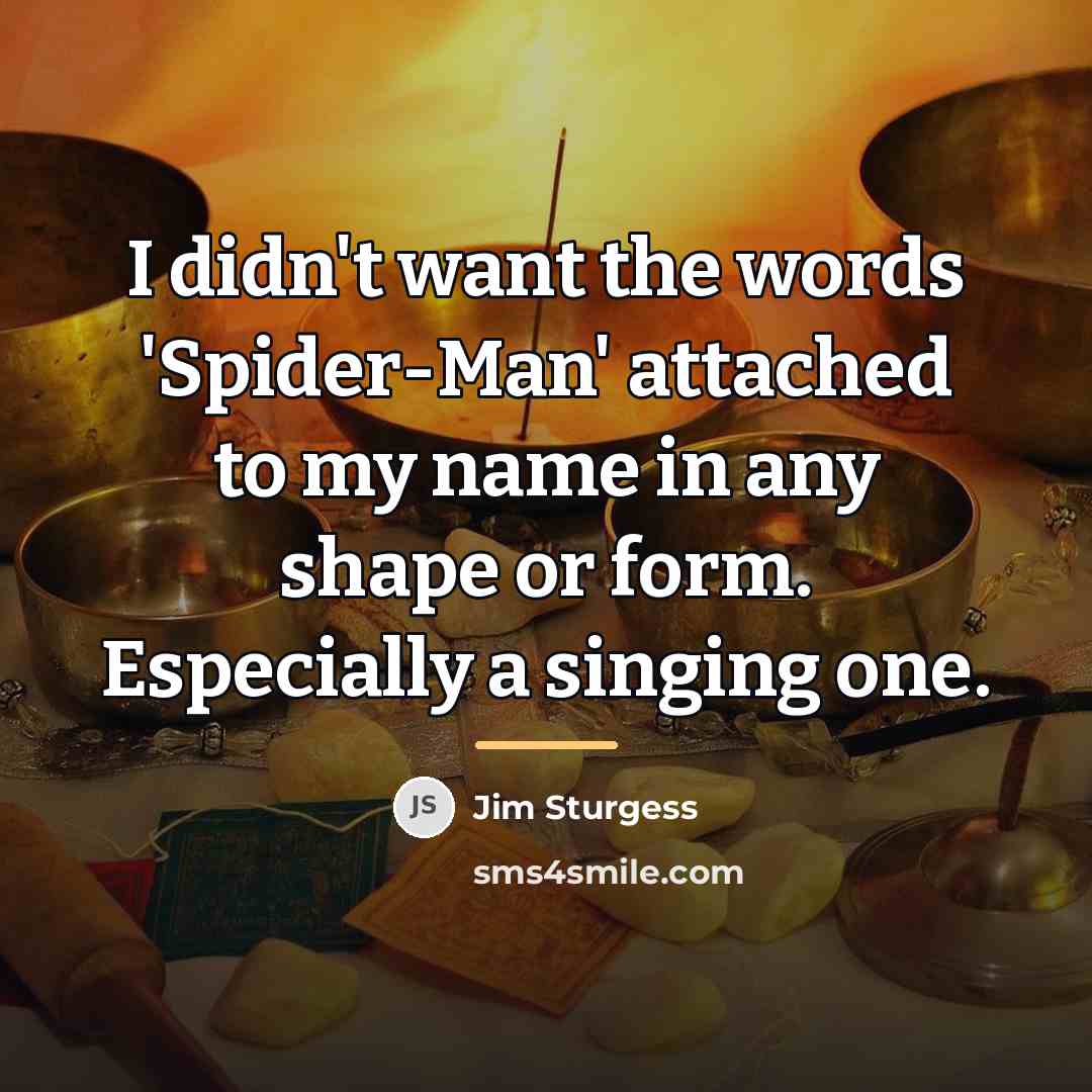 “I didn't want the words 'Spider-Man' attached to my name…” quote by Jim Sturgess