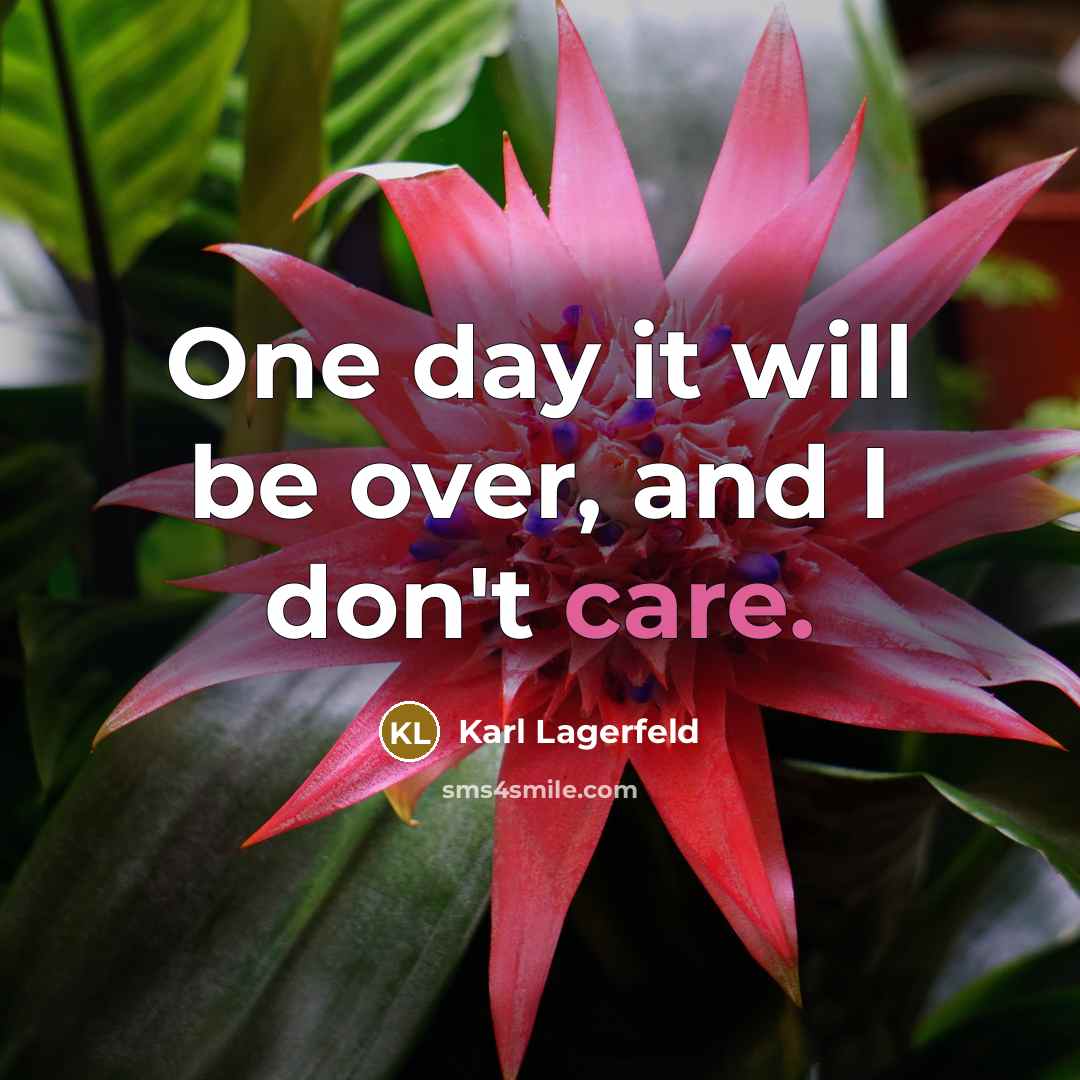“One day it will be over, and I don't care.…” quote by Karl Lagerfeld