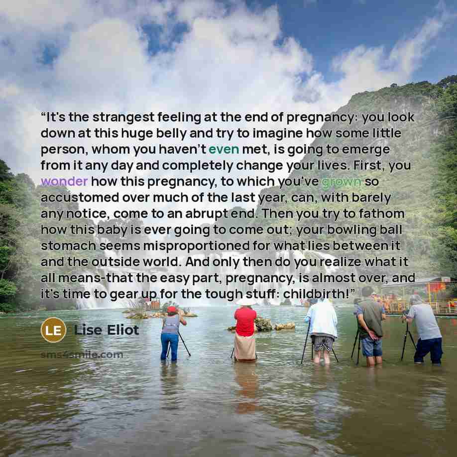 “It's the strangest feeling at the end of pregnancy: you look down at this huge belly and try to imagine how some little person, whom you haven't even met, is going to emerge from it any day and completely change your lives. First, you wonder how this pregnancy, to which you've grown so accustomed…” quote by Lise Eliot