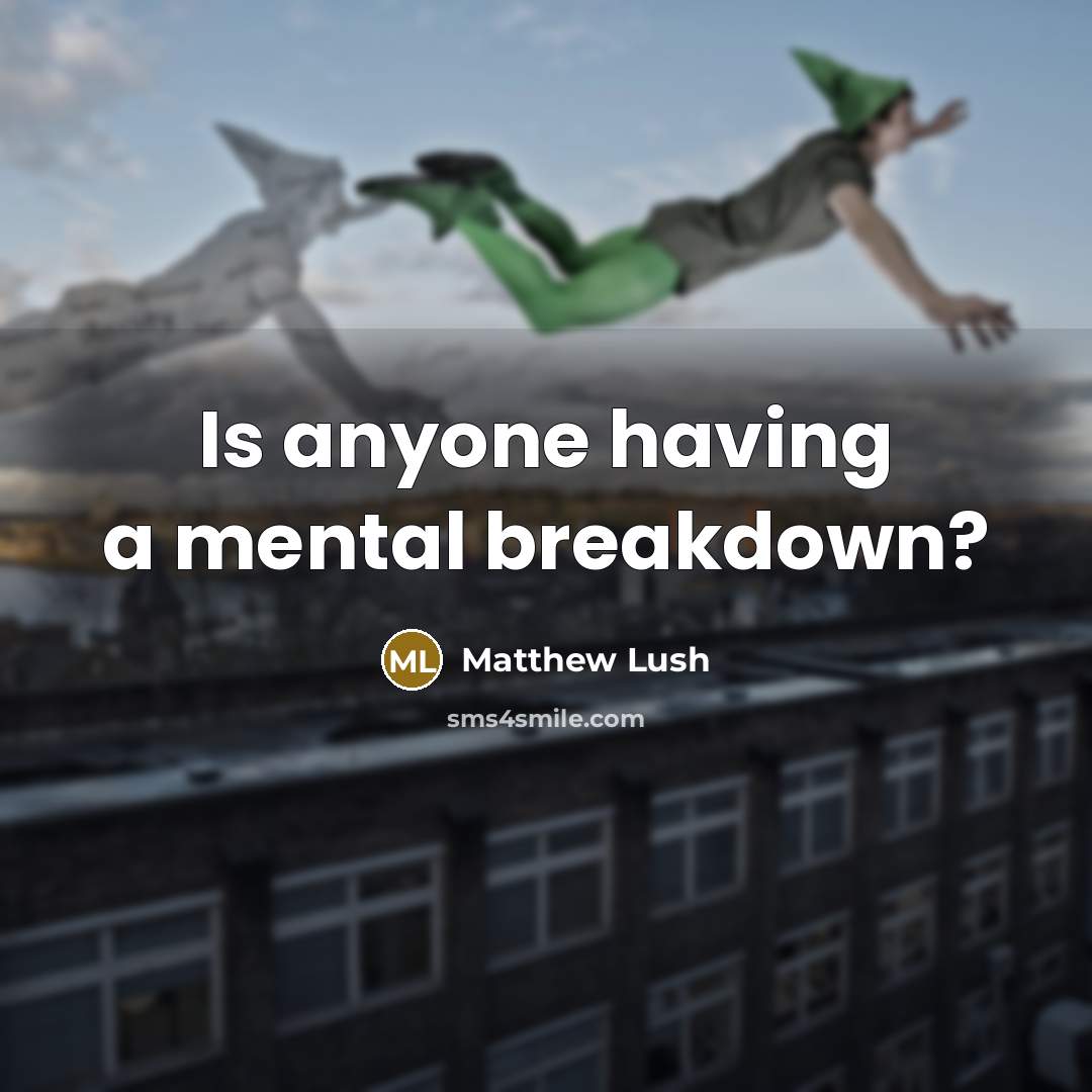 “Is anyone having a mental breakdown?” quote by Matthew Lush