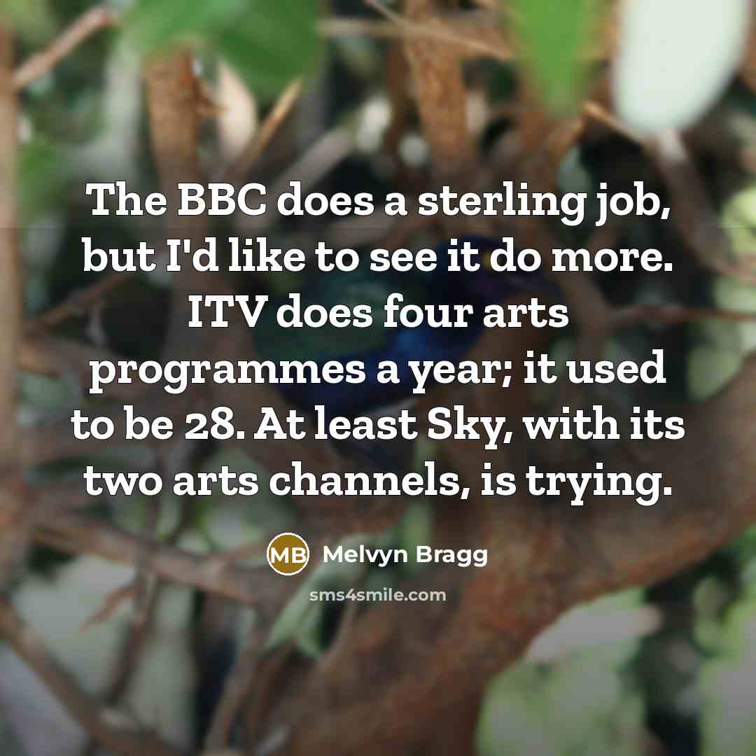 “The BBC does a sterling job, but I'd like to…” quote by Melvyn Bragg