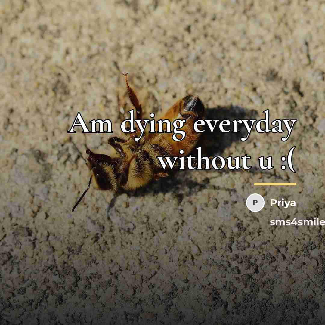 “Am dying everyday without u :(…” quote by Priya