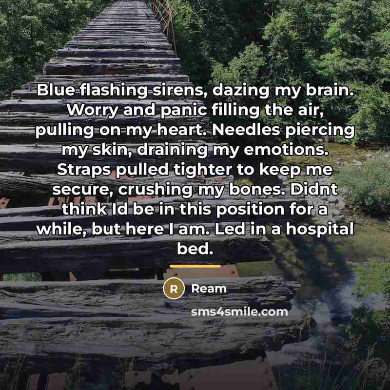 “Blue flashing sirens, dazing my brain. Worry and panic filling…” quote by Ream