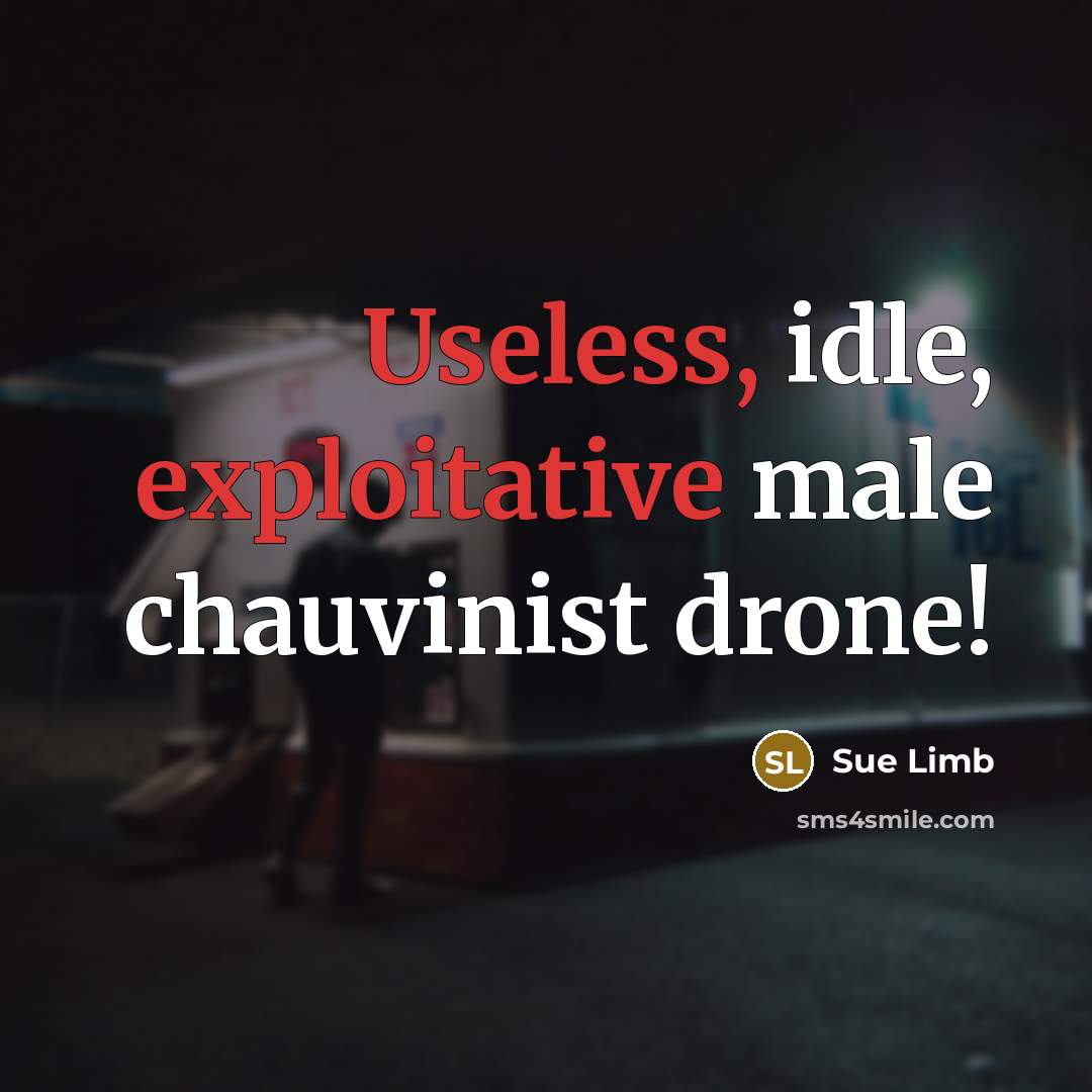 “Useless, idle, exploitative male chauvinist drone!” quote by Sue Limb