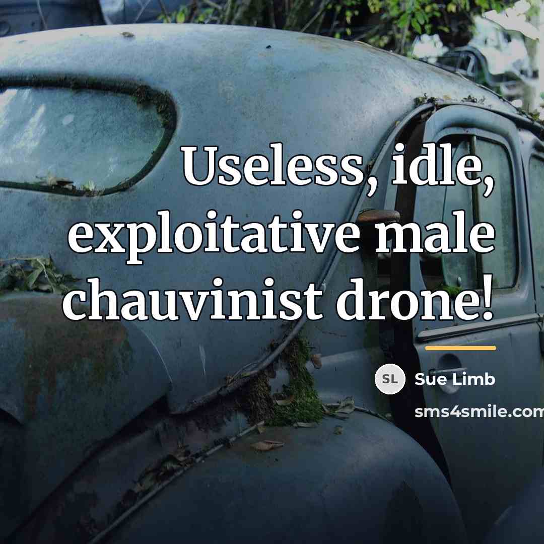 “Useless, idle, exploitative male chauvinist drone!…” quote by Sue Limb
