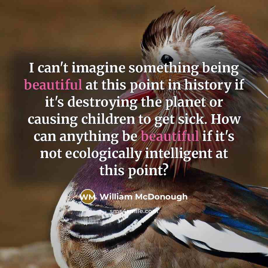 “I can't imagine something being beautiful at this point in…” quote by William McDonough