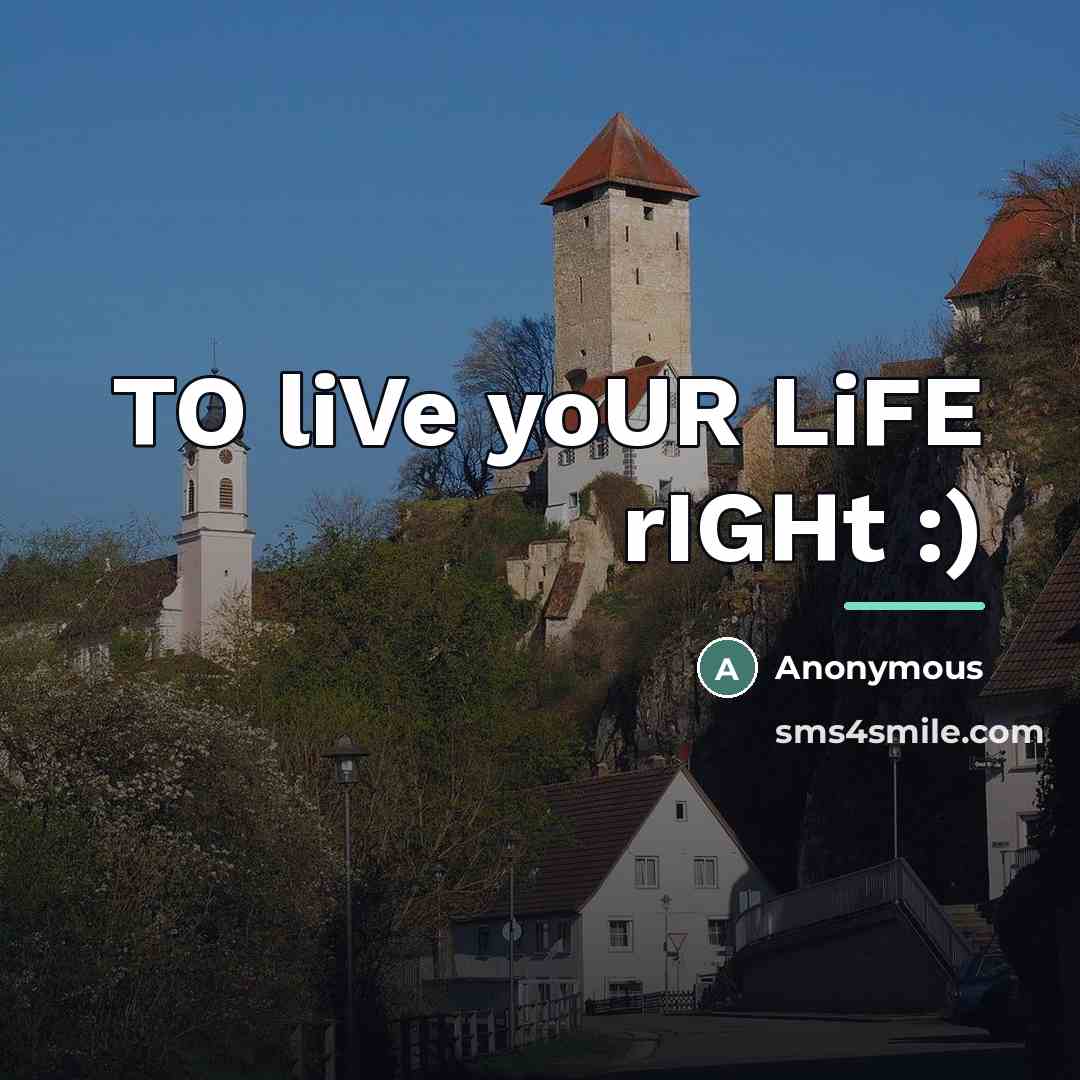 “TO liVe yoUR LiFE rIGHt :)…” quote by Anonymous