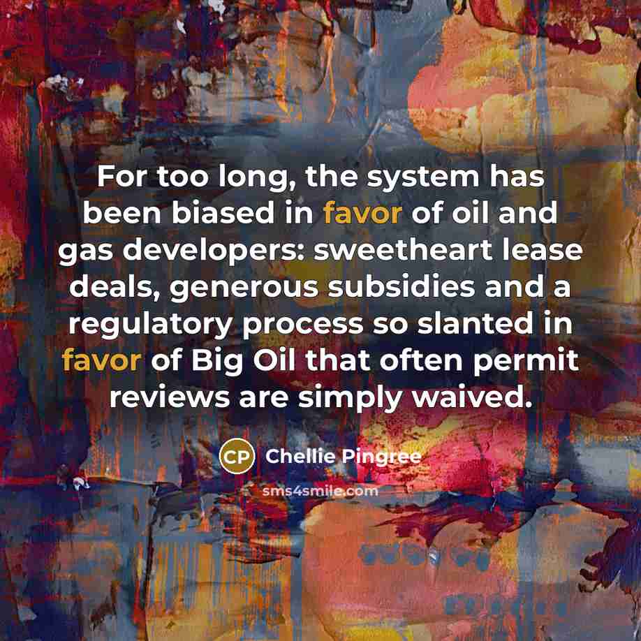 “For too long, the system has been biased in favor…” quote by Chellie Pingree