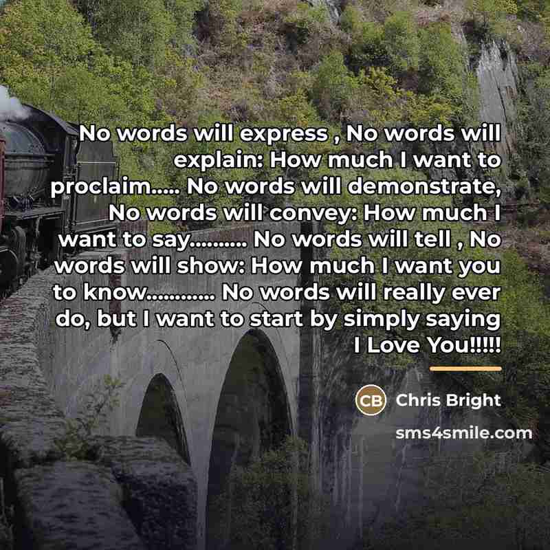 “No words will express , No words will explain: How…” quote by Chris Bright