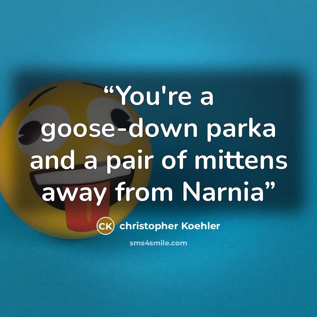 “You're a goose-down parka and a pair of mittens away from Narnia” quote by christopher Koehler