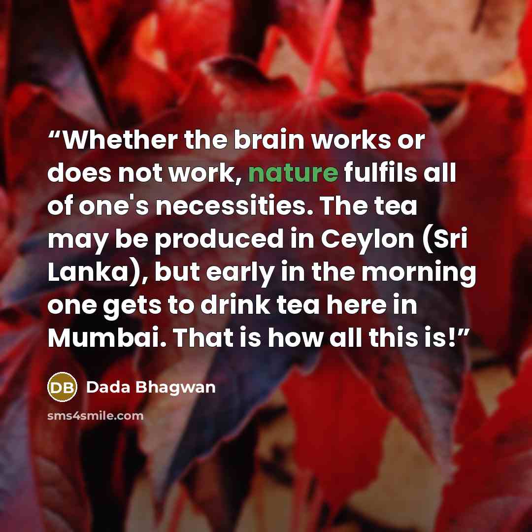 “Whether the brain works or does not work, nature fulfils all of one's necessities. The tea may be produced in Ceylon (Sri Lanka), but early in the morning one gets to drink tea here in Mumbai. That is how all this is!” quote by Dada Bhagwan