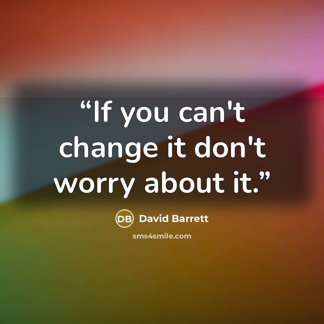 “If you can't change it don't worry about it.” quote by David Barrett