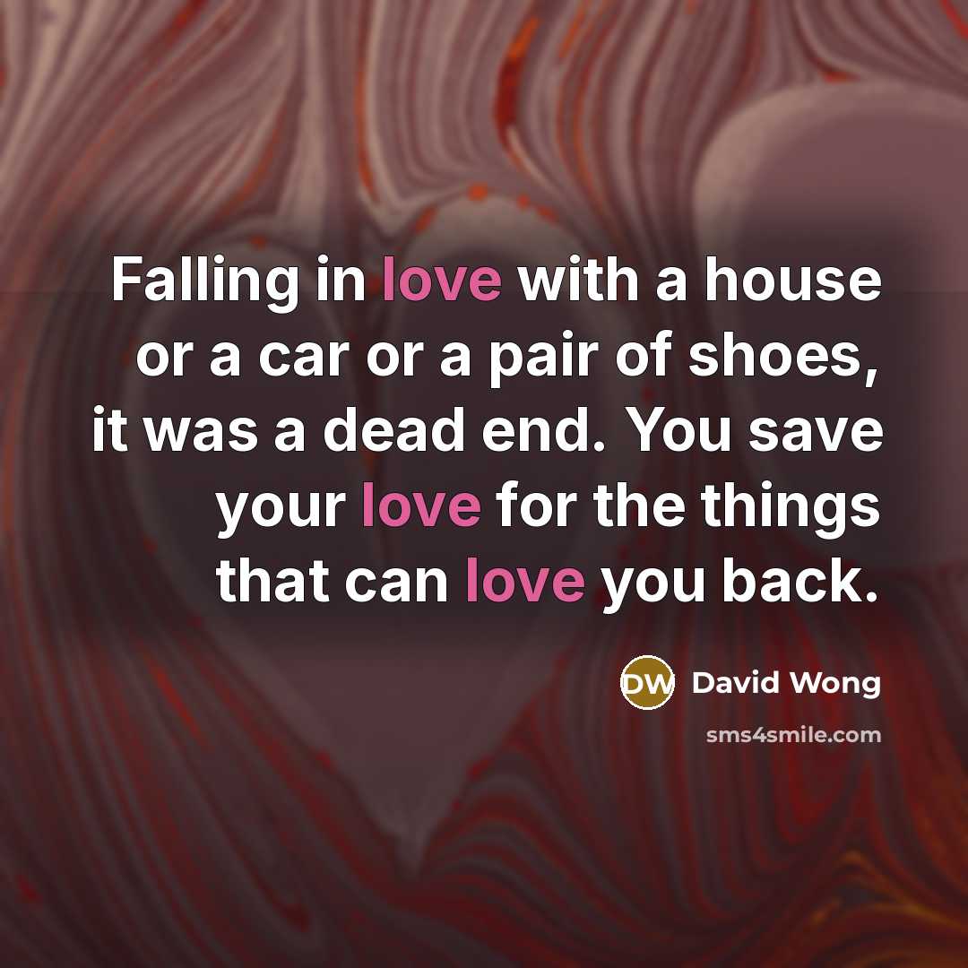 “Falling in love with a house or a car or…” quote by David Wong