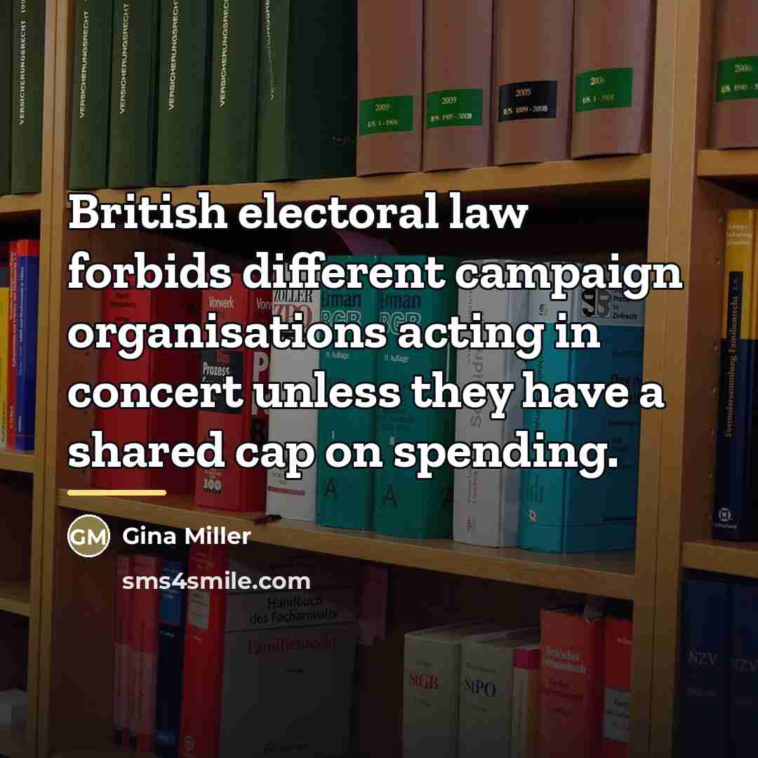 “British electoral law forbids different campaign organisations acting in concert…” quote by Gina Miller