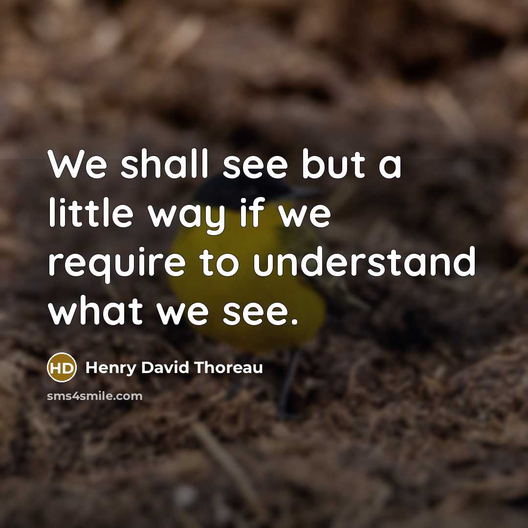 “We shall see but a little way if we require to understand what we see.” quote by Henry David Thoreau