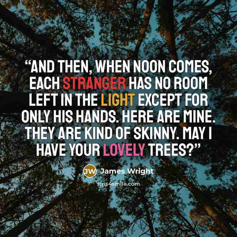 “And then, when noon comes, Each stranger Has no room left in the light Except for only his hands. Here are mine. They are kind of skinny. May I have your lovely trees?” quote by James Wright
