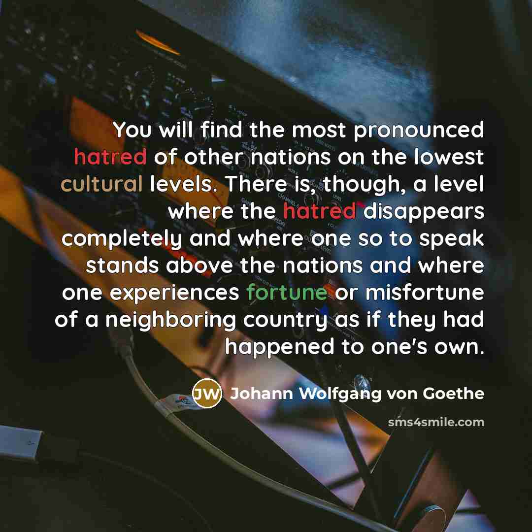 “You will find the most pronounced hatred of other nations…” quote by Johann Wolfgang von Goethe