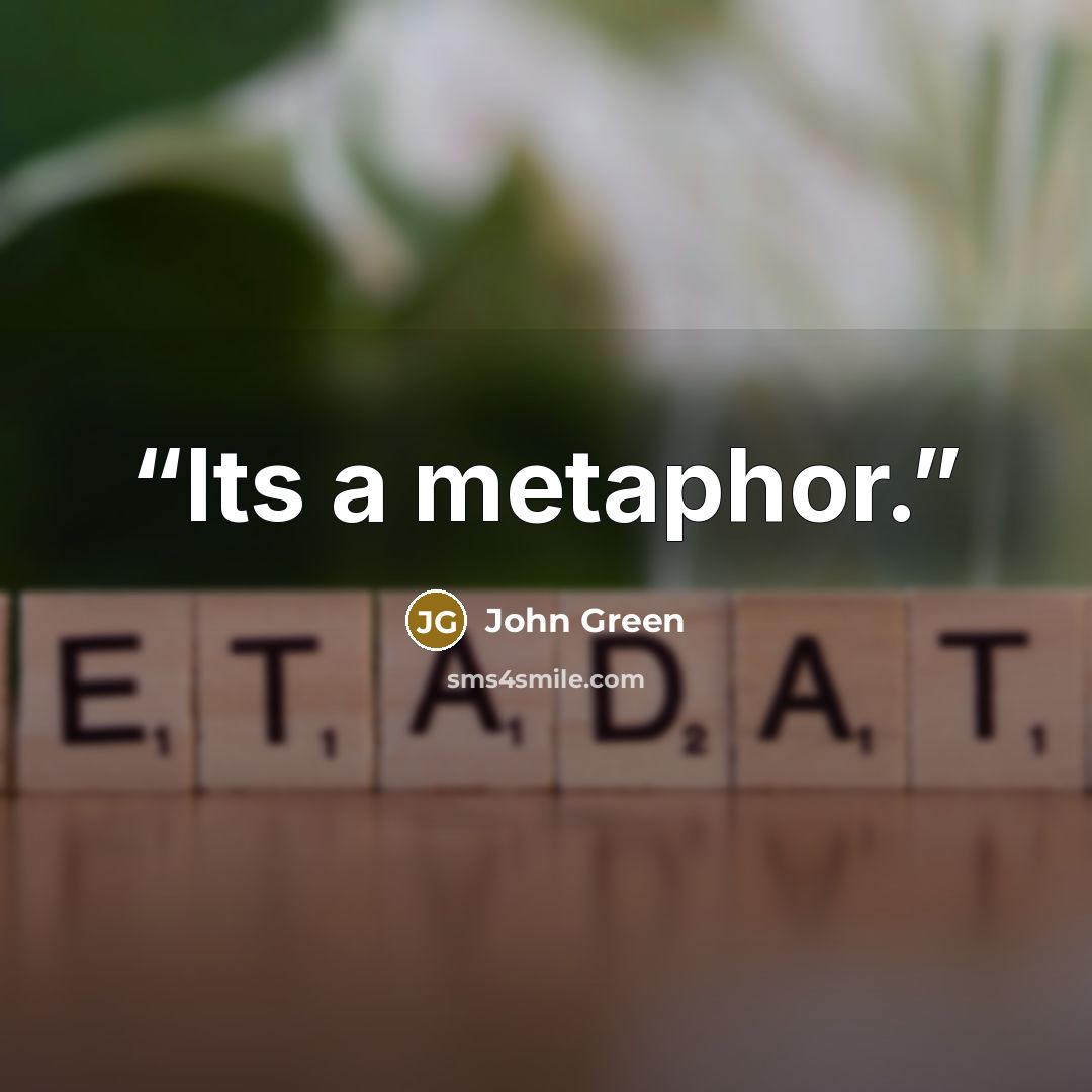 “Its a metaphor.” quote by John Green