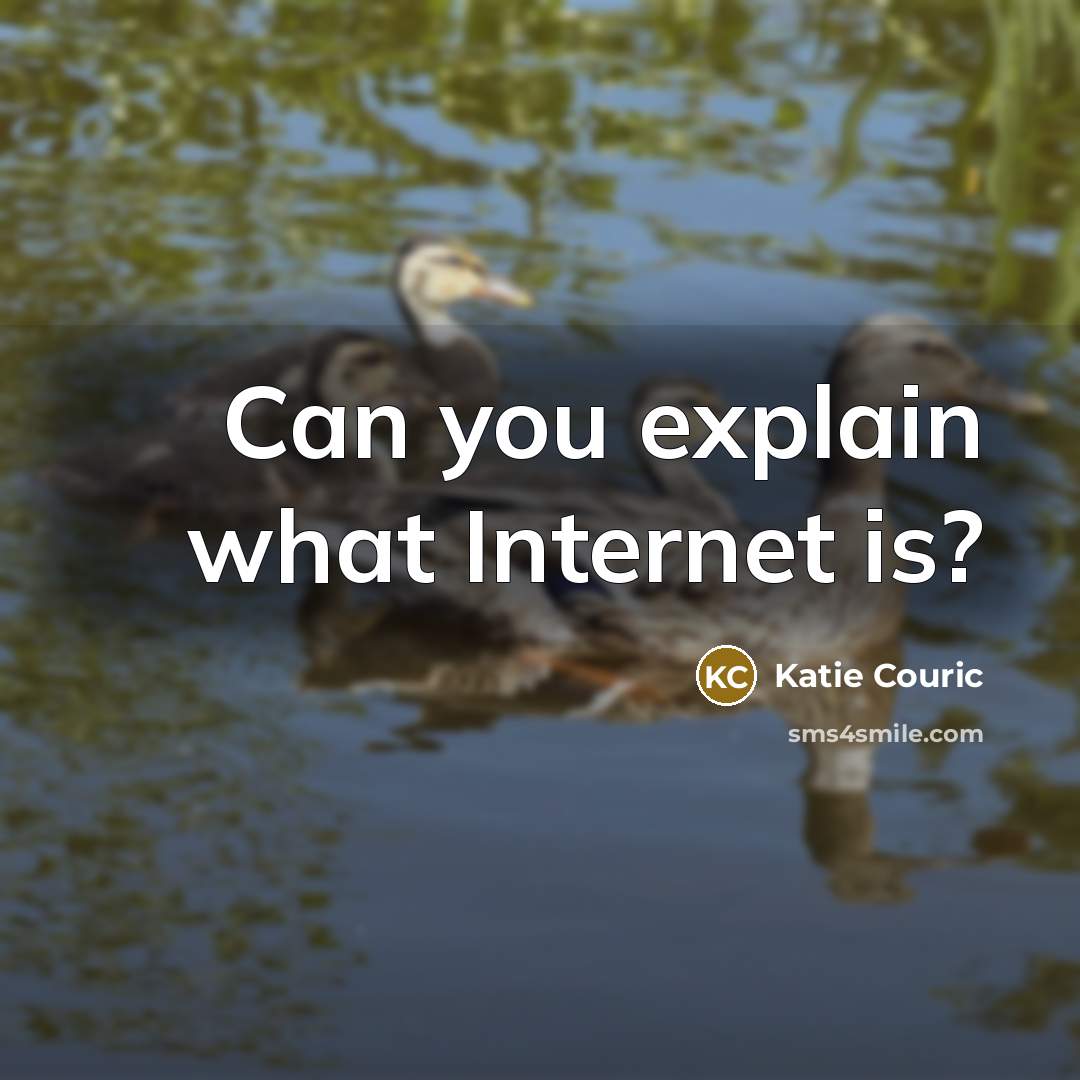 “Can you explain what Internet is?…” quote by Katie Couric