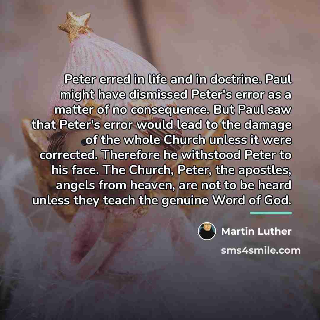 “Peter erred in life and in doctrine. Paul might have…” quote by Martin Luther