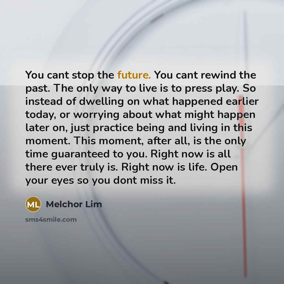 “You cant stop the future. You cant rewind the past.…” quote by Melchor Lim
