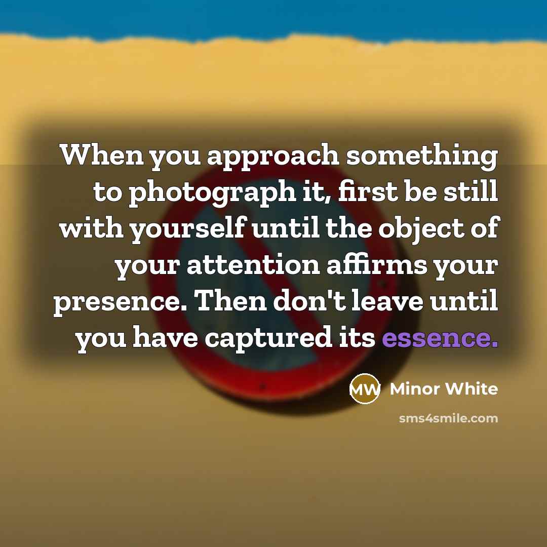 “When you approach something to photograph it, first be still…” quote by Minor White