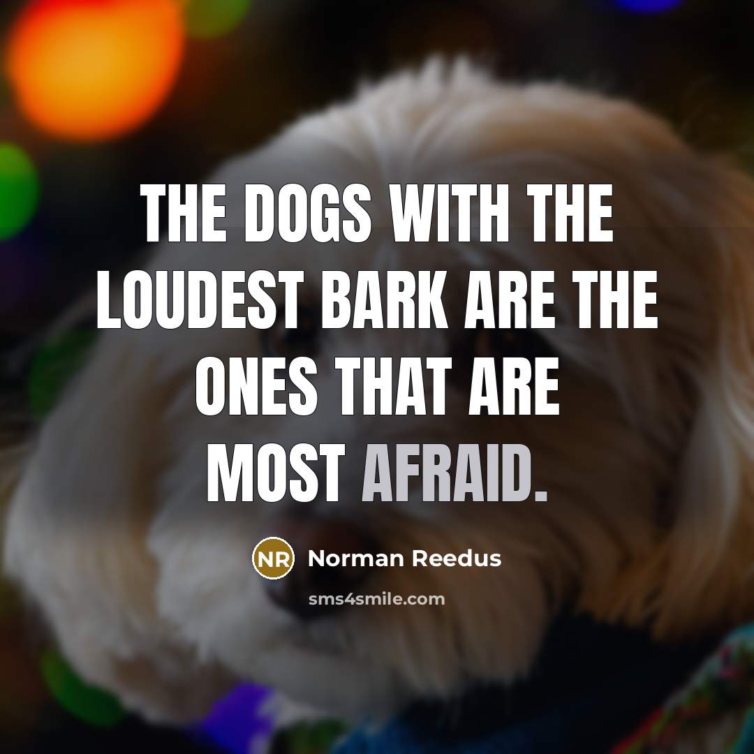 “The dogs with the loudest bark are the ones that…” quote by Norman Reedus
