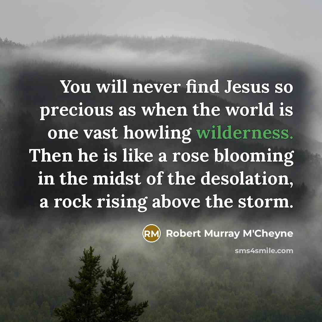 “You will never find Jesus so precious as when the…” quote by Robert Murray M'Cheyne