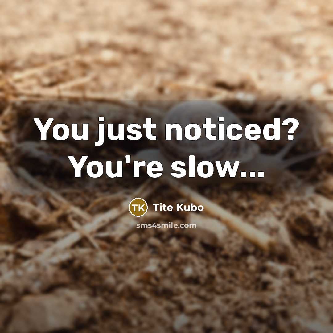 “You just noticed? You're slow...” quote by Tite Kubo