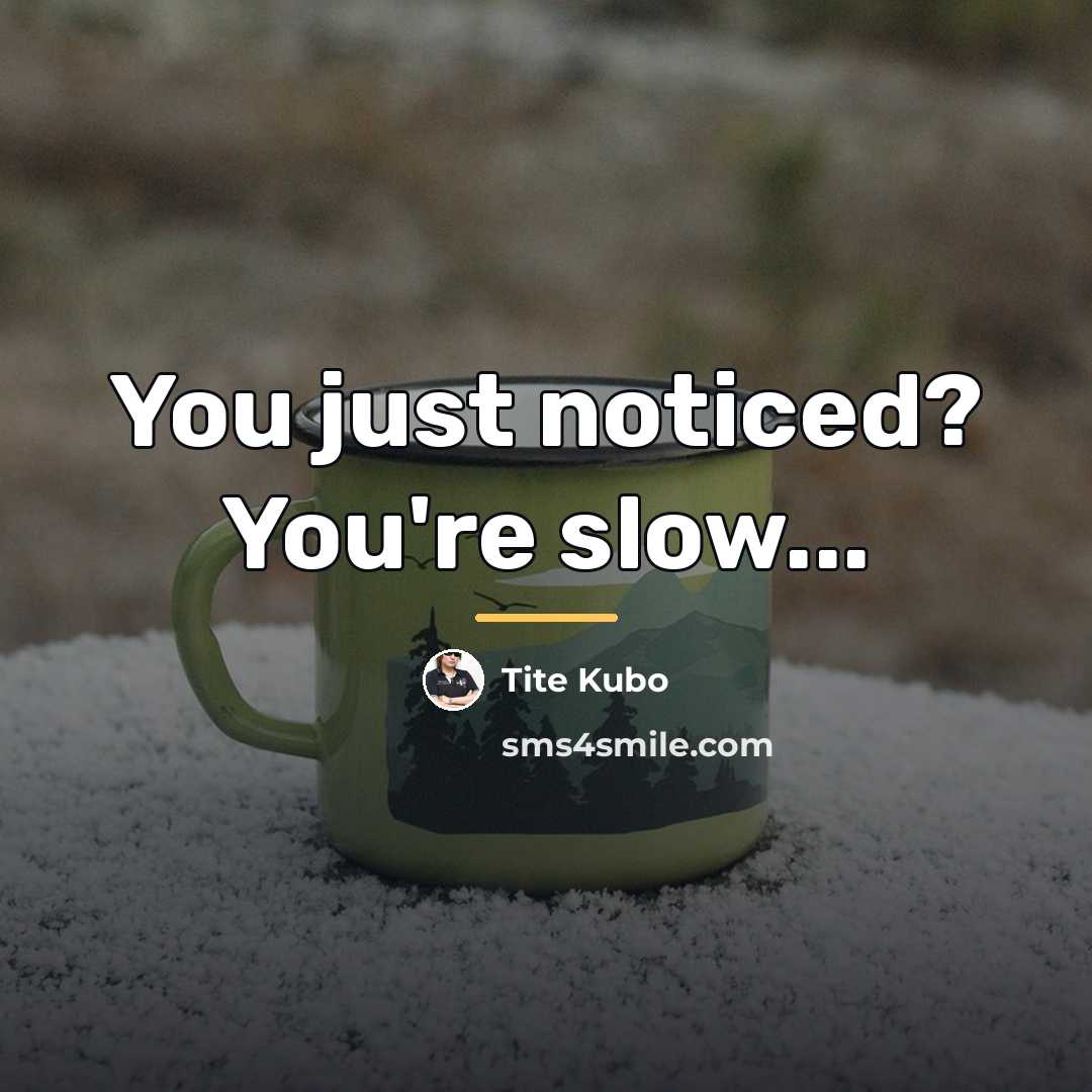 “You just noticed? You're slow...…” quote by Tite Kubo