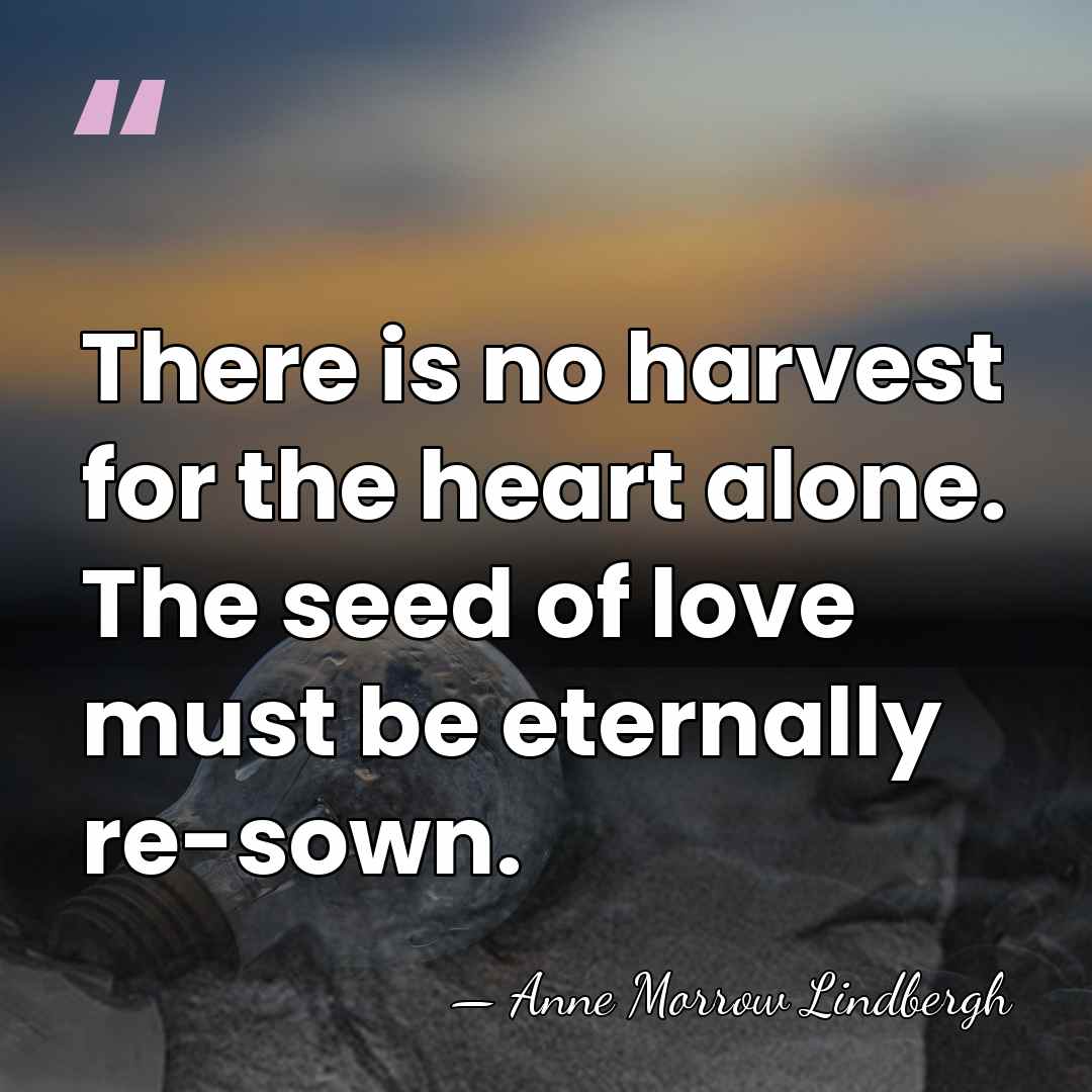 There is no harvest for the heart alone. The seed of love&hellip; - Anne Morrow Lindbergh