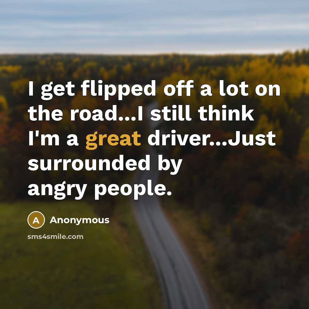 “I get flipped off a lot on the road...I still think I'm a great driver...Just surrounded by angry people.” quote by Anonymous