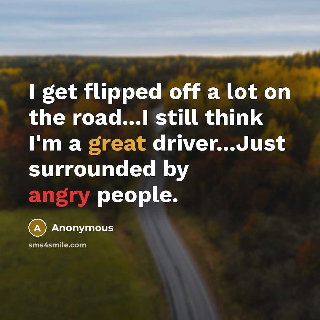 “I get flipped off a lot on the road...I still think I'm a great driver...Just surrounded by angry people.” quote by Anonymous