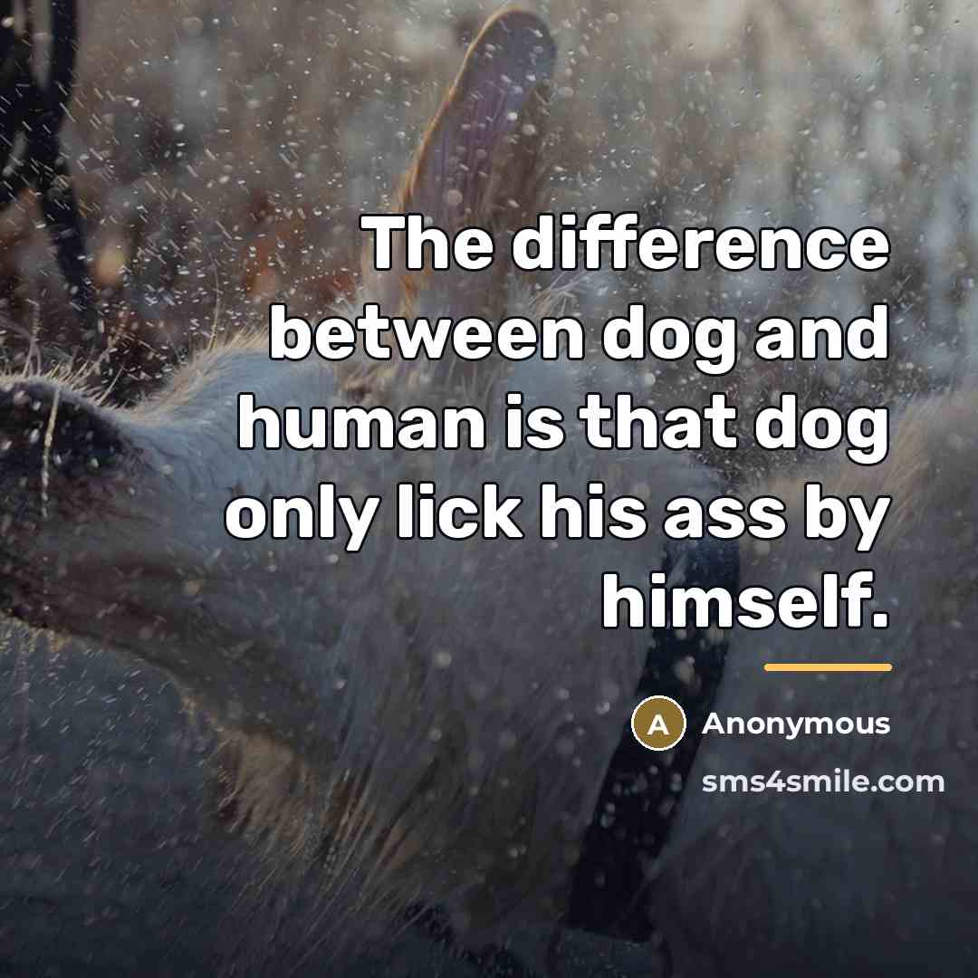 “The difference between dog and human is that dog only…” quote by Anonymous