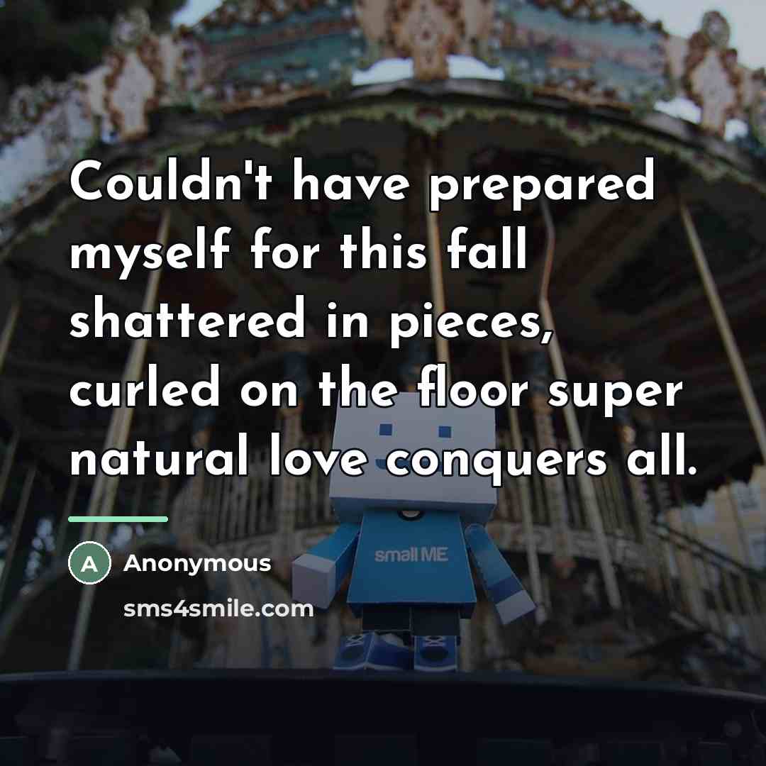“Couldn't have prepared myself for this fall shattered in pieces,…” quote by Anonymous