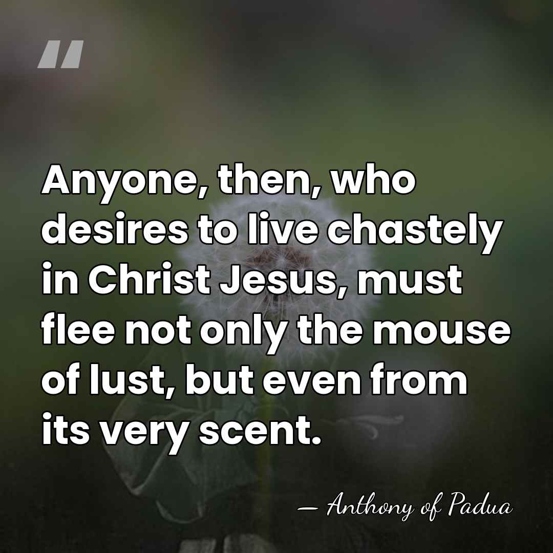 Anyone, then, who desires to live chastely in Christ Jesus, must flee&hellip; - Anthony of Padua