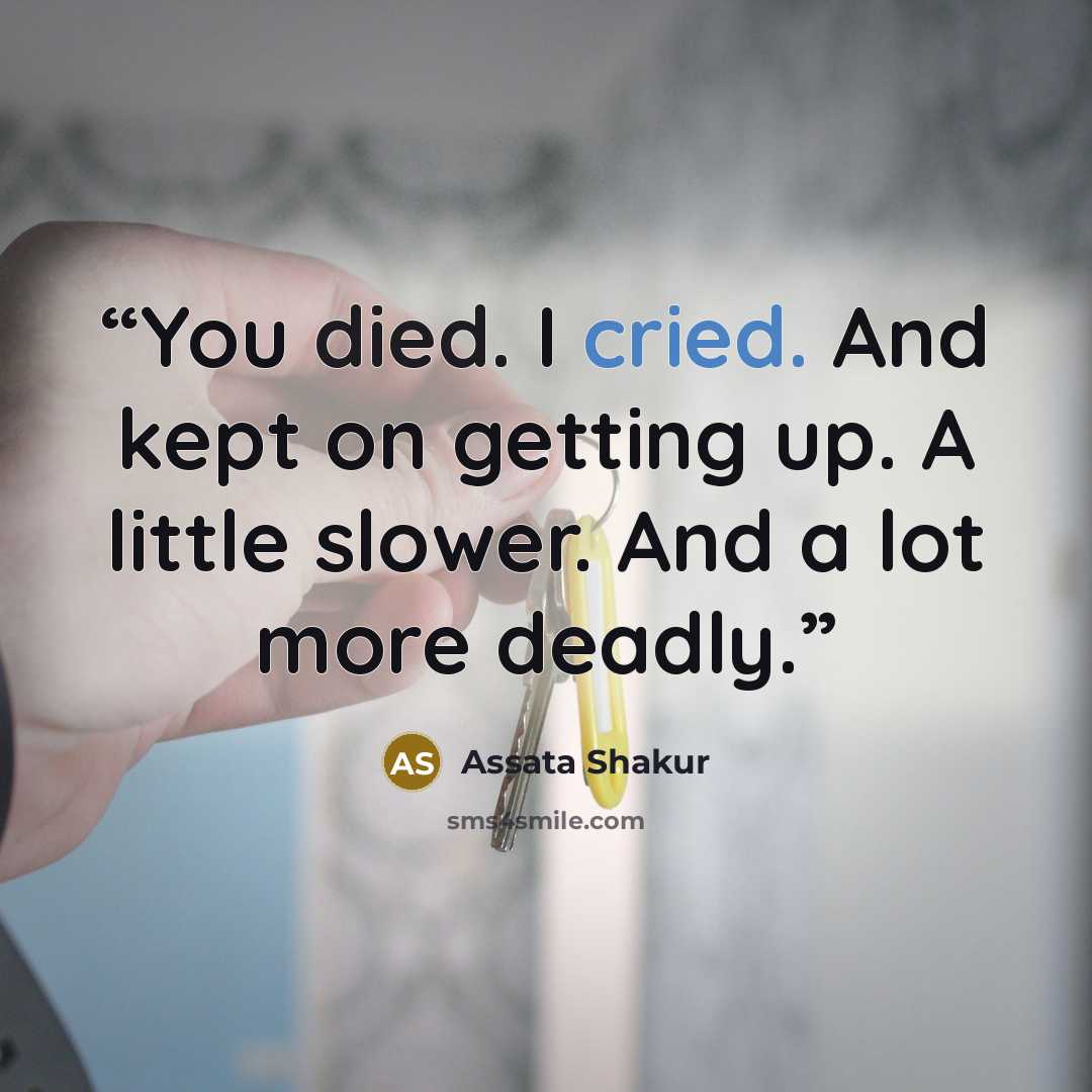 “You died. I cried. And kept on getting up. A little slower. And a lot more deadly.” quote by Assata Shakur