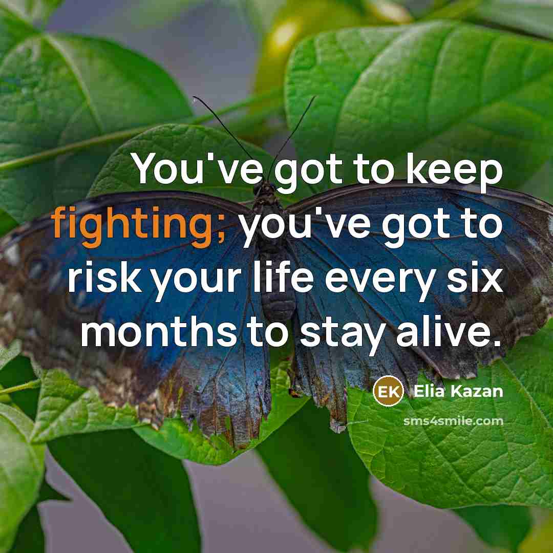 “You've got to keep fighting; you've got to risk your…” quote by Elia Kazan