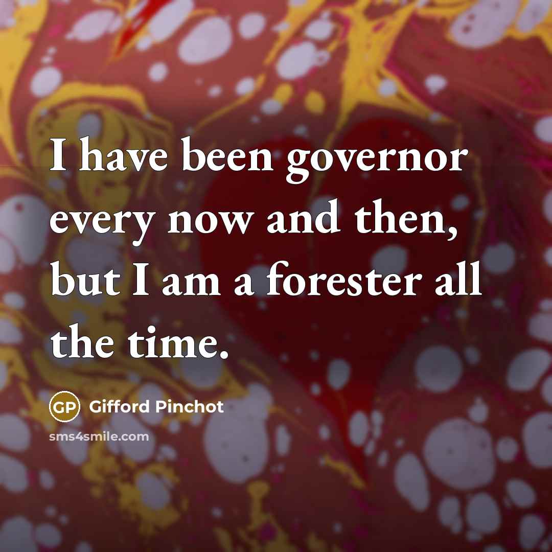 “I have been governor every now and then, but I…” quote by Gifford Pinchot