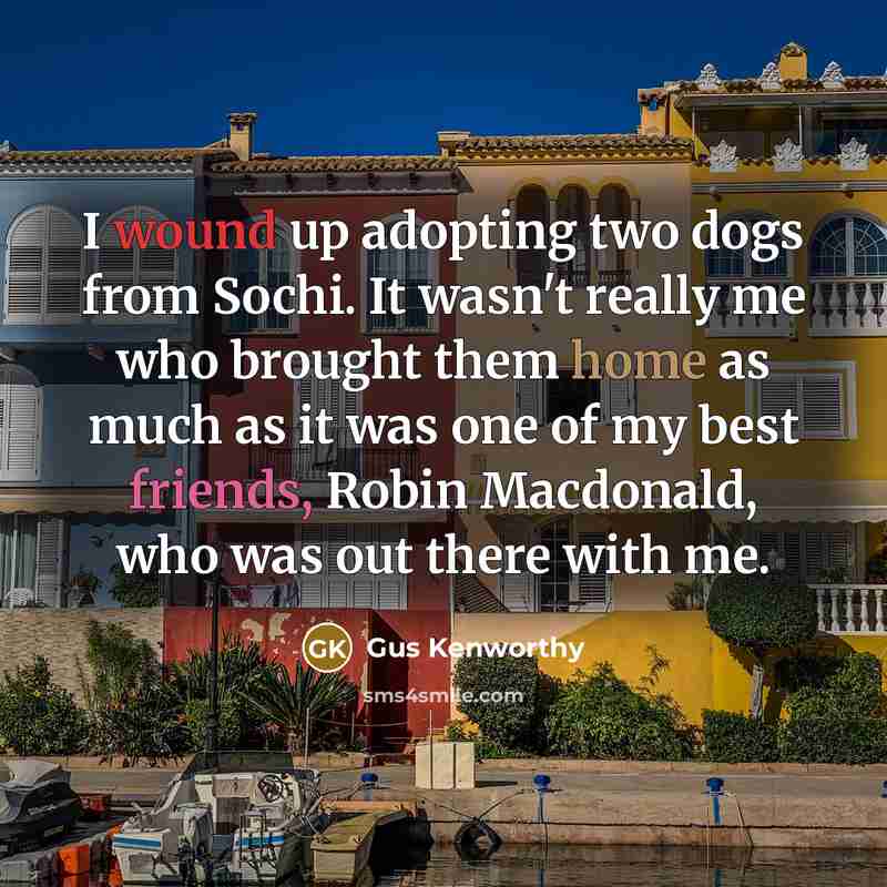 “I wound up adopting two dogs from Sochi. It wasn't really me who brought them home as much as it was one of my best friends, Robin Macdonald, who was out there with me.” quote by Gus Kenworthy