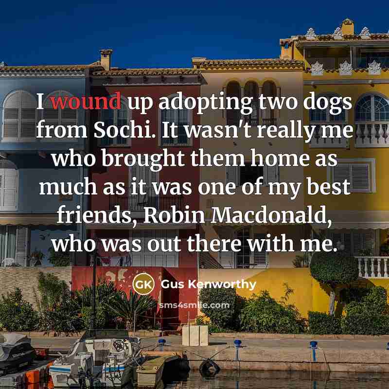 “I wound up adopting two dogs from Sochi. It wasn't…” quote by Gus Kenworthy